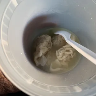 Wonton Soup
