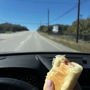a hand holding a hot dog