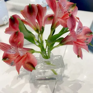 interior, sushi and sashimi