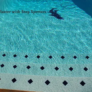 New Pool Plaster with step spotters and Dolphin decorative tile.