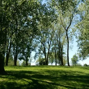 Cottonwood trees provide shade.