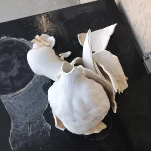 BROKEN PORCELAIN DUCKS that I picked up off the ground.