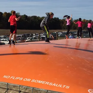Pumpkin trampoline