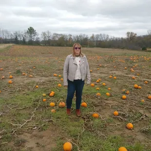 Pumpkin patch