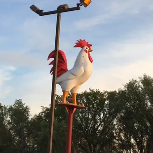 a rooster on a pole