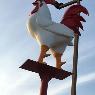 a rooster on a pole