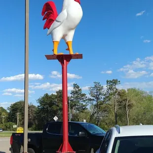 Outdoor Chicken Decor