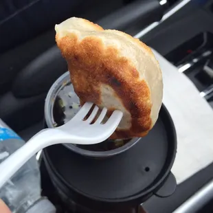 The best potstickers in Chicago!