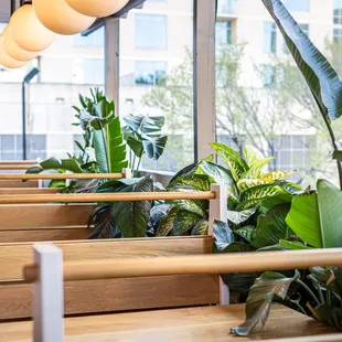 a row of benches with plants in them