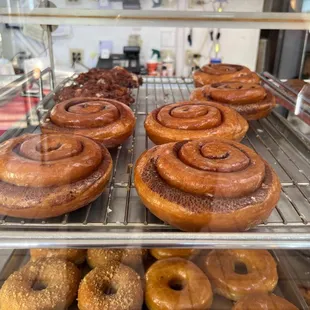 a variety of glazed donuts