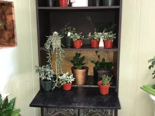 A New Leaf Garden Center