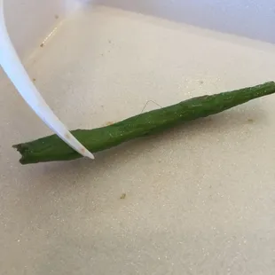 Hair in the food!