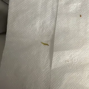 Worm
