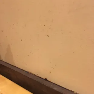Ordered food &amp; sat there to eat it &amp; looked at the wall !! How disgusting