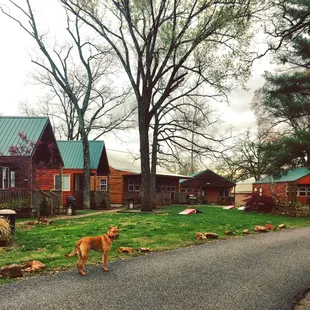 Spring Break at Lee's!