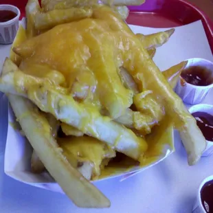 fish, food, seafood, fish and chips