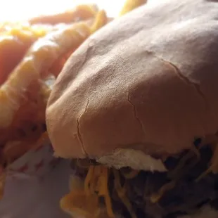 The Original with a side order of fries