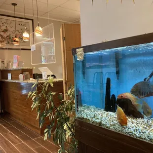 a fish tank and a vending machine