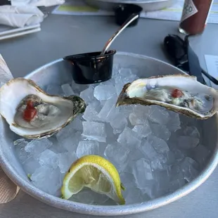 Raw oysters