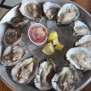 Oysters