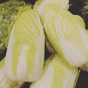 Napa Cabbage