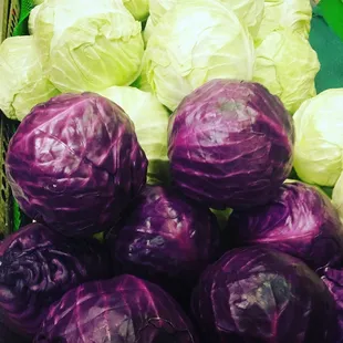 Cabbage with organic options available.