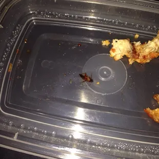 Lookkk at what's in my food !!!