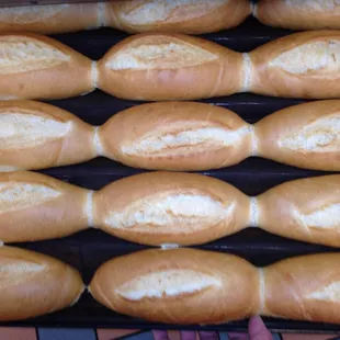 Mini Rolls for Asian Sandwiches