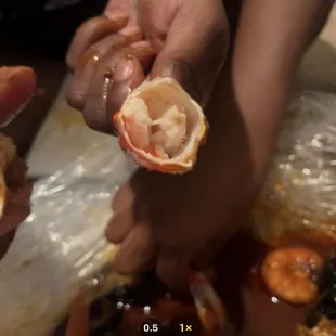 oysters and mussels, food