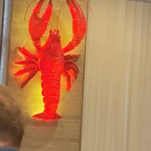 Seafood lamp