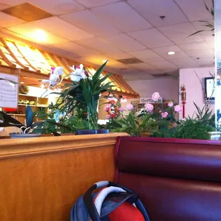 sushi and sashimi, interior