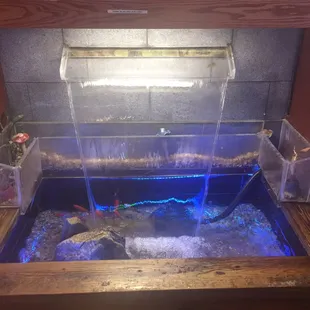 Waterfall with live fish!