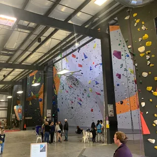 Climbing wall.
