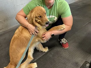 CrossFit Maximus