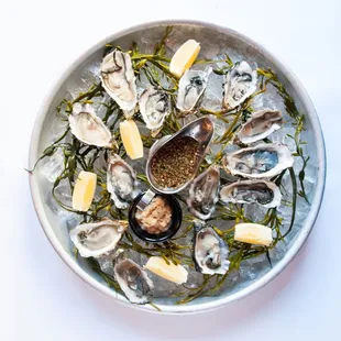 mussels, shellfish, oysters, food, oysters and mussels