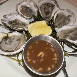 Oysters
