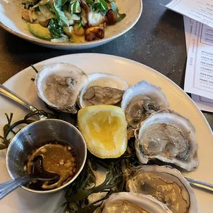 Oysters