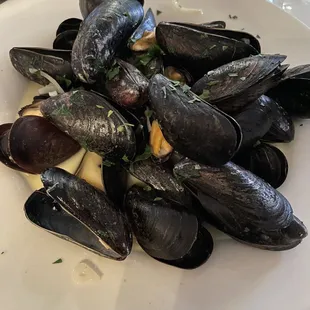 mussels, oysters, oysters and mussels, shellfish, food