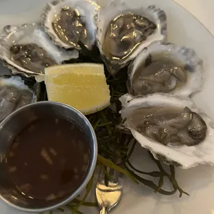 Oysters