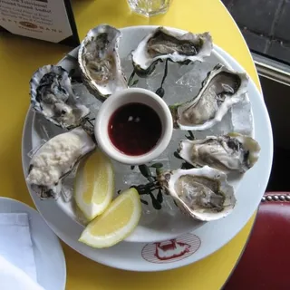 OYSTERS*