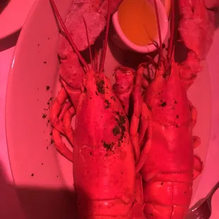 Twin Maine Lobsters