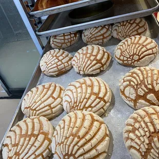 Conchas