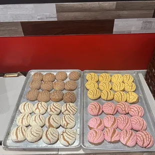 Mini conchas para cualquier ocasión