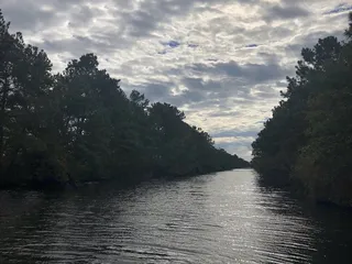 Princess Anne Wildlife Management Area