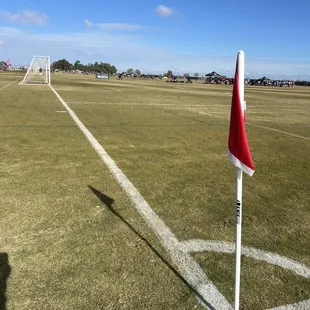 Field 16