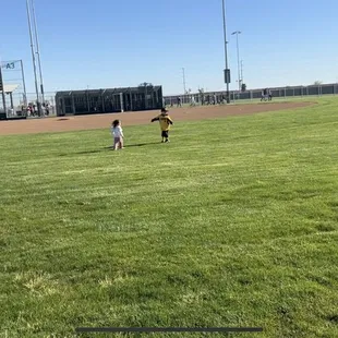 One of the beautifully maintained fields