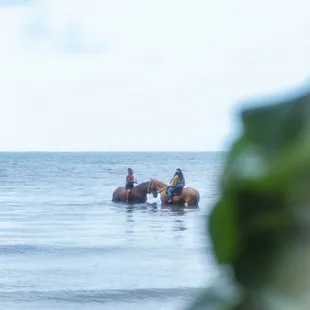 Aunty Leolani sharing her wisdom while we were in the water.