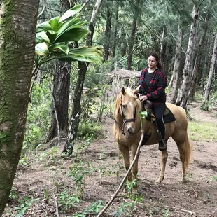 Forest vibes