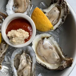 Raw Oysters