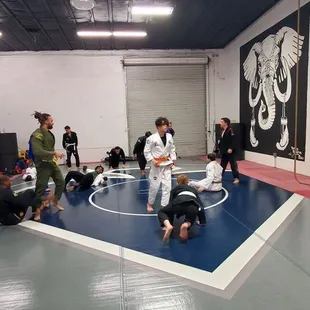 Legacy BJJ
